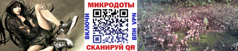 Галлюциногенные грибы Cubensis  сколько стоит  Обнинск 